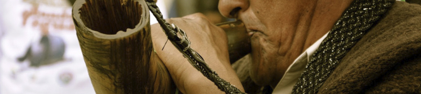 TS-Flautas-Cuerdas-Tambores